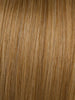 R14/25 = HONEY GINGER: Dark Golden Blonde with light Gold highlights