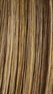 R11S GLAZED MOCHA | Medium brown with golden blonde highlights on top