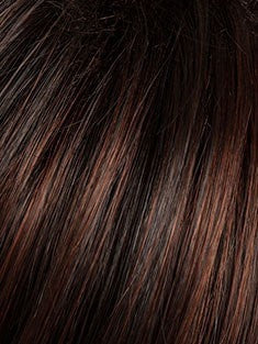 SS4/33 | SHADED EGGPLANT | Dark Dark Brown with Subtle Warm Highlights  Roots