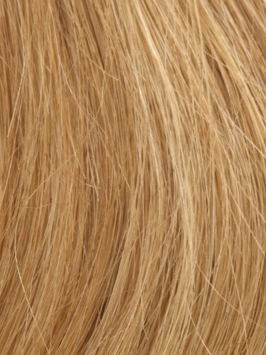 14/27/25 SUN KISSED BLONDE | Light Brown Blended with Light Red and Blonde Tones