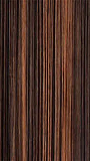 FS4/30 | 80% Medium Dark Brown with 20% Copper Blonde Frost