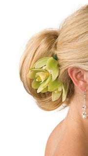 Color 24B/27C