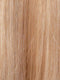 RH1488 | Dark Blonde w/Lightest Blonde Highlights