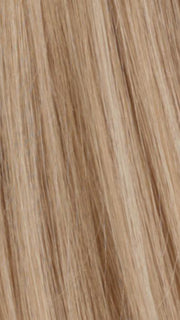 R24/18 | Golden Blonde Blended with Ash Blonde