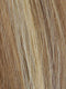 R12/26H | Light Brown with Golden Blonde Highlights