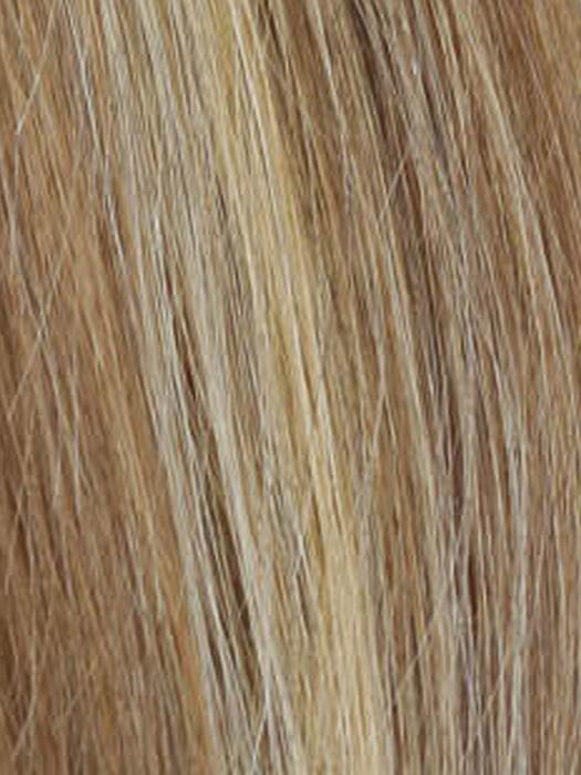 R12/26H | Light Brown with Golden Blonde Highlights