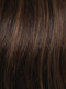R829S+ GLAZED HAZELNUT | Rich Medium Brown with Ginger Highlights on Top