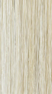 223/23C | Light Golden Blonde