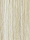 223/23C | Light Golden Blonde
