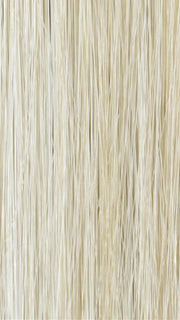 223/23C | Light Golden Blonde