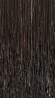  2/4R | Very Dark Brown with highlights