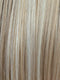 SUGAR COOKIE | Medium Honey Blonde with Light Blonde blends and Platinum Blonde highlights