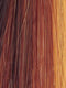 SUNSET-GLOW | Dark Red and Blonde blend