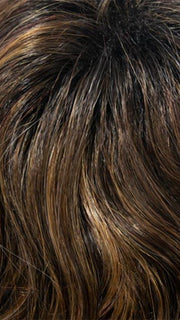 8-29-R2 | Darkest Brown Rooted with Chestnut Brown and Honey Apricot blend