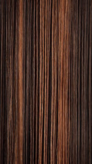 FS4/30 | 80% Medium Dark Brown with 20% Copper Blonde Frost