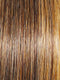 BROWN-BLONDE | Medium to Light Brown with Salon Highlights