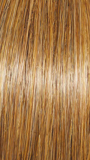 DARK-BLONDE | Honey Blonde highlighted by the sun