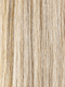 SANDY BLONDE ROOTED 24.23.16 | Lightest Ash Blonde and Lightest Pale Blonde with Medium Blonde Blend and Shaded Roots