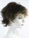6GR Medium Chestnut Brown with Light Golden Brown Front