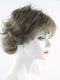 48 Light Brown Blended with 50-60% Grey
